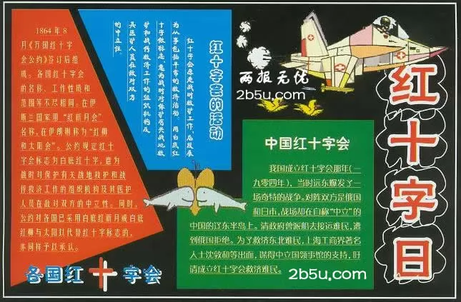 ʮֻպڰ屨